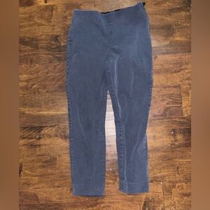 Everlane Blue Ankle Cropped Pants with High Waist and Straight Leg